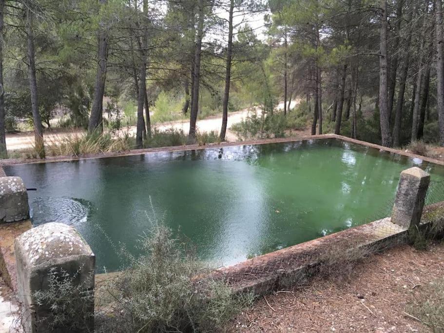 La Azuleja De